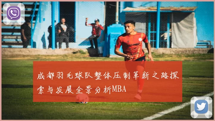 成都羽毛球队整体压制革新之路探索与发展全景分析MBA