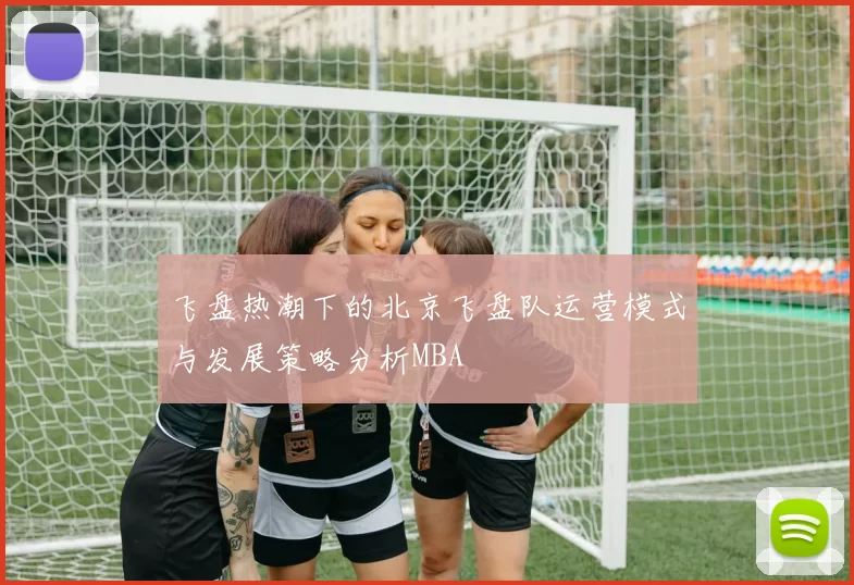 飞盘热潮下的北京飞盘队运营模式与发展策略分析MBA