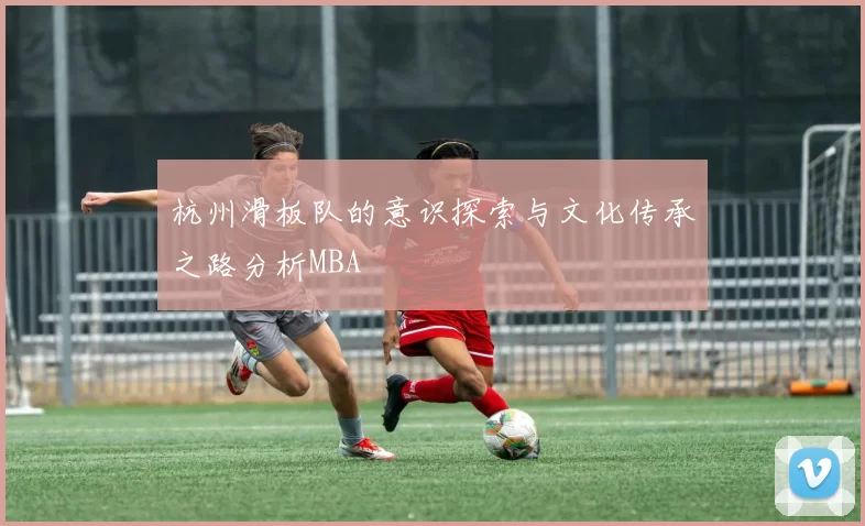 杭州滑板队的意识探索与文化传承之路分析MBA