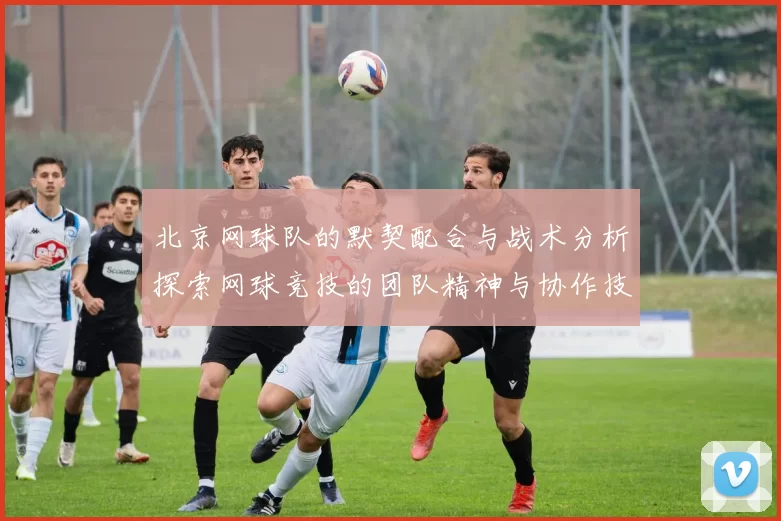 北京网球队的默契配合与战术分析探索网球竞技的团队精神与协作技巧MBA